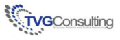 tvg-consulting-logo-175x59